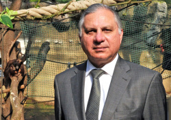 Guatemala - Carlos Jimenez Licone.jpg